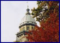 Photo of the Illinois State Capitol dome with autumn leaves.