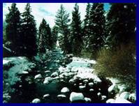 InfoSENTRY Photo of snowcapped rocks in Gore Creek, Colorado